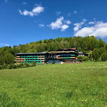 Natura Hotel Bodenmais - Inkl Soft- Und Heissgetraenkeflat Exterior photo